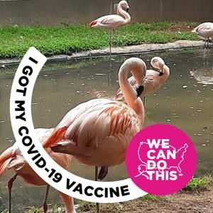 Meet your Posher, Sue